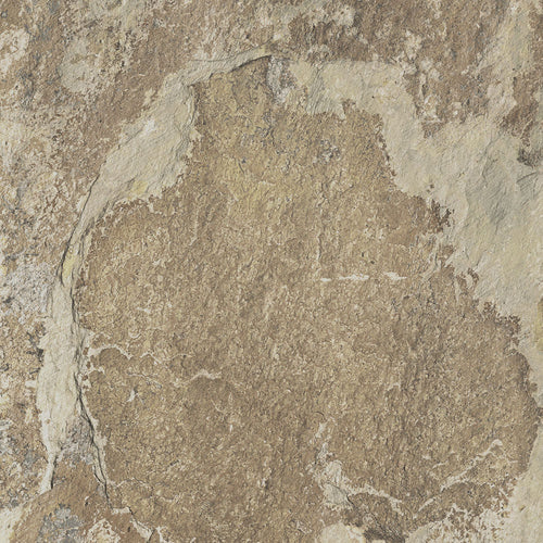 Adz Nerva Beige – 60.8 × 60.8 cm – Fliese