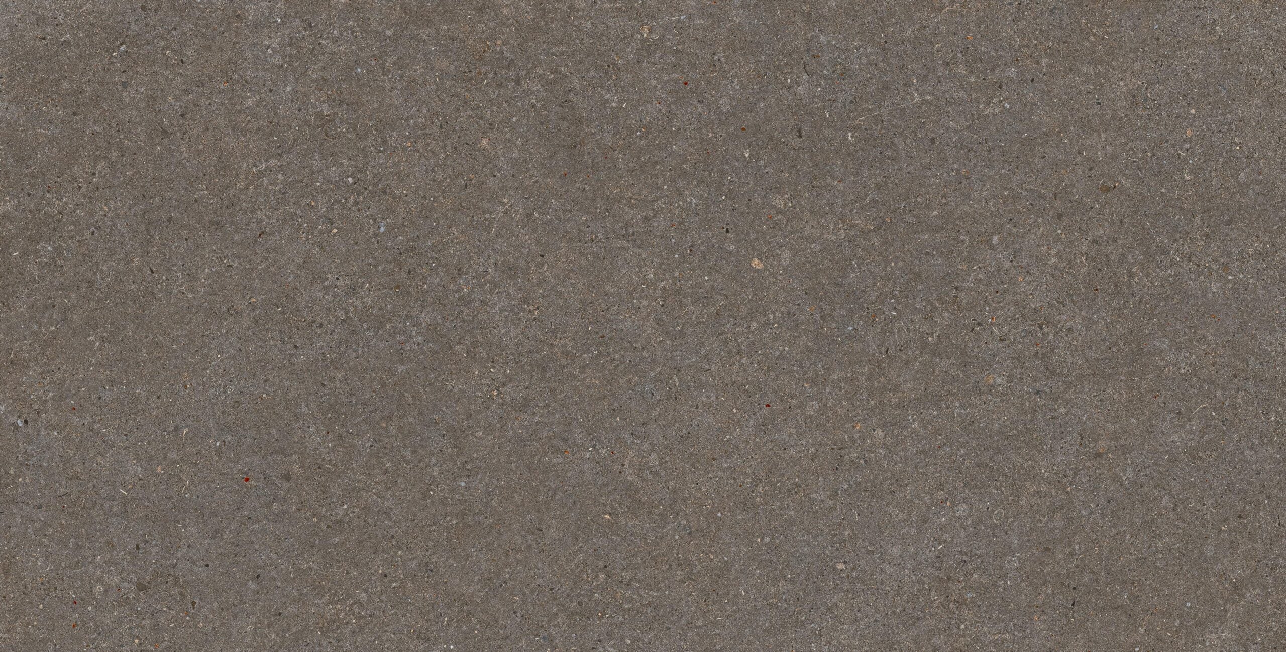 Belgravia Anthracite – 60 × 120 cm