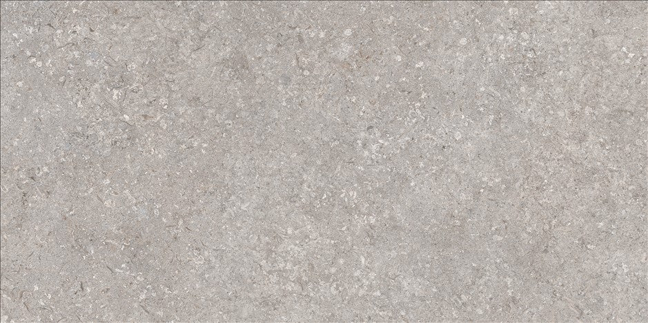Softstone Grey – 60 × 120 cm