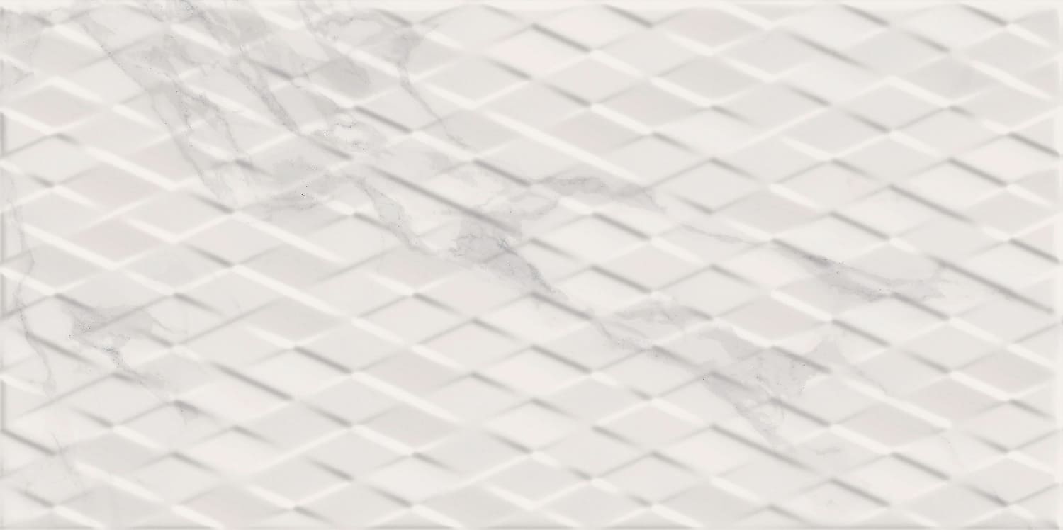 Cesano Dec Cesano – 25 × 50 cm – Fliese