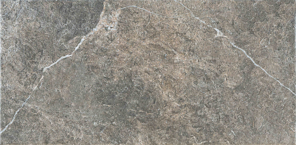 Anaya Argent – 30.3 × 61.3 cm – Fliese