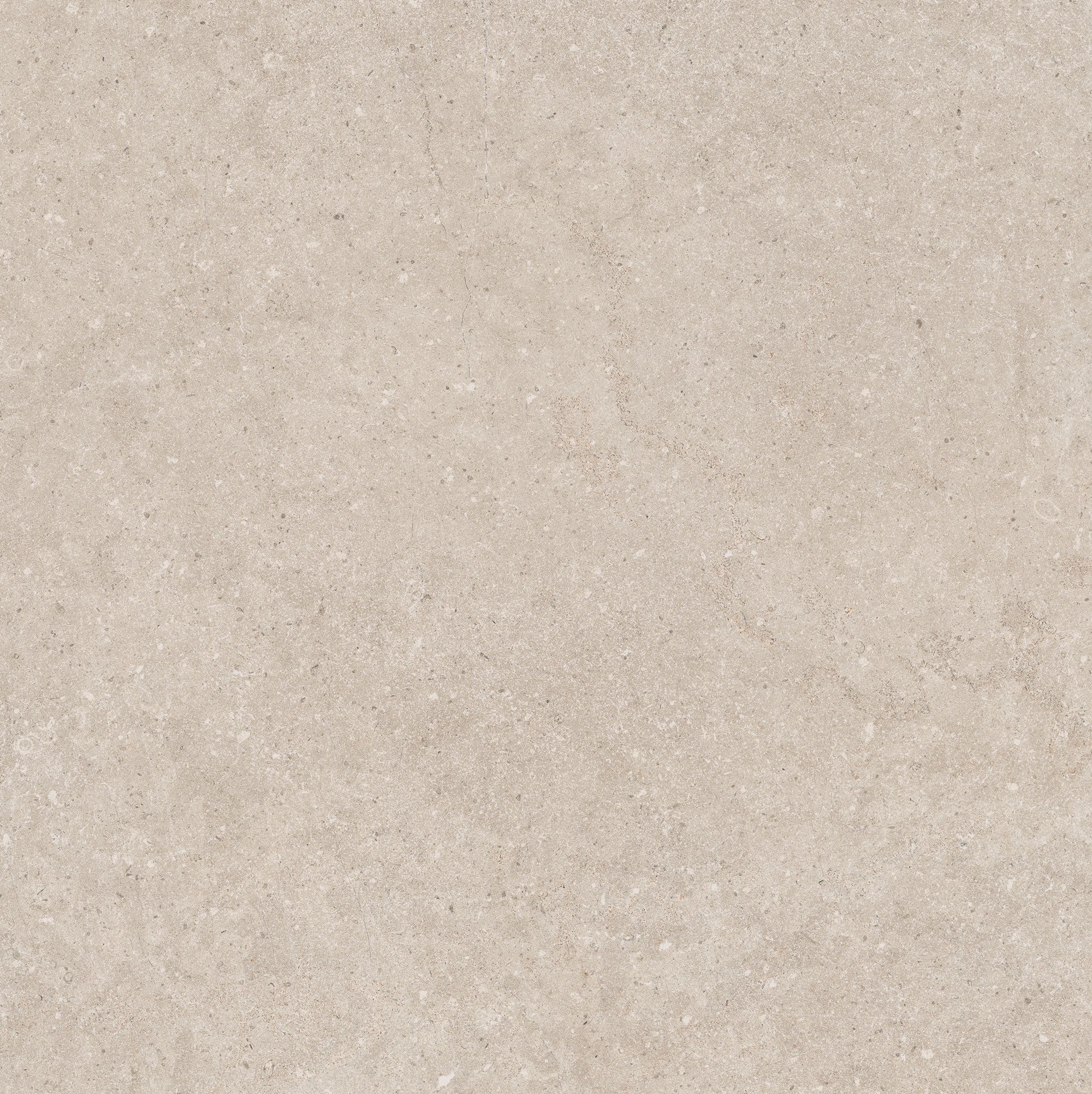 Giza Greige – 100 × 100 cm – Fliese