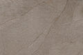 Halley Mud – 60 × 90 cm – Fliese
