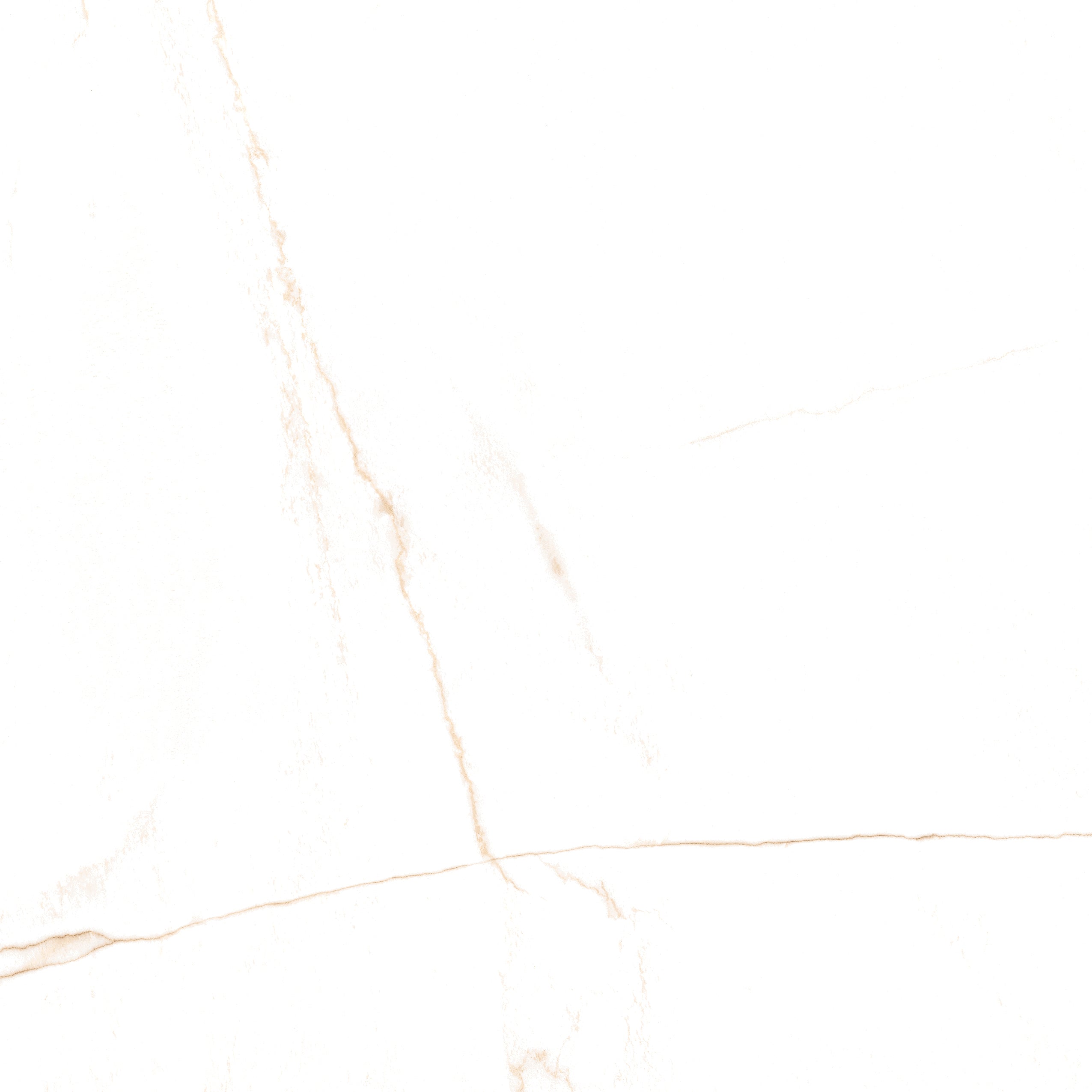 Bianco Mare Gold – 90 × 90 cm – Fliese