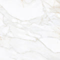 Paonazzo Gold – 60 × 60 cm – Fliese