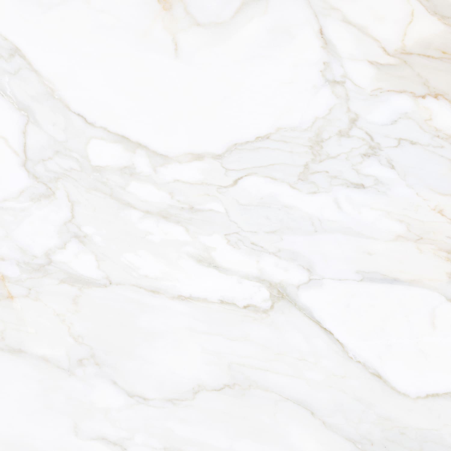Paonazzo Gold – 60 × 60 cm – Fliese