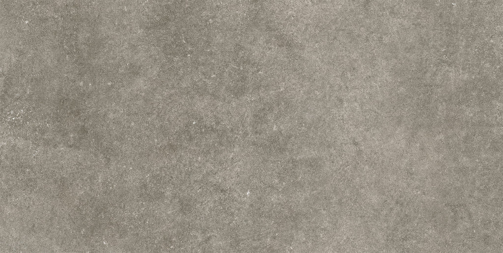 Plock Gris – 30.3 × 61.3 cm – Fliese
