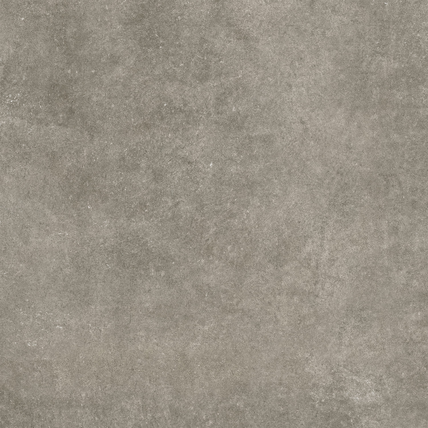Plock Gris – 60.8 × 60.8 cm – Fliese
