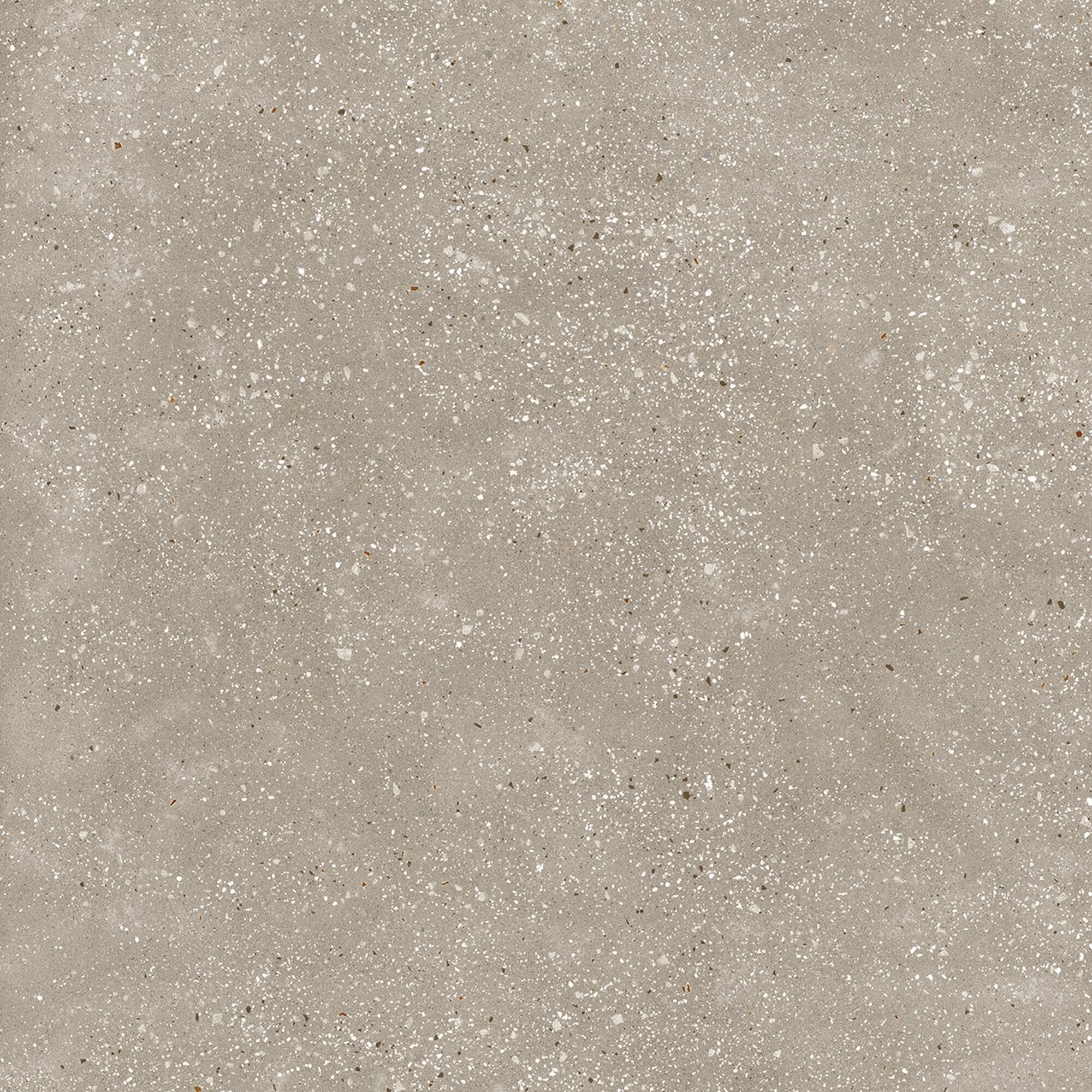 Ama Tortora – 60 × 120 cm