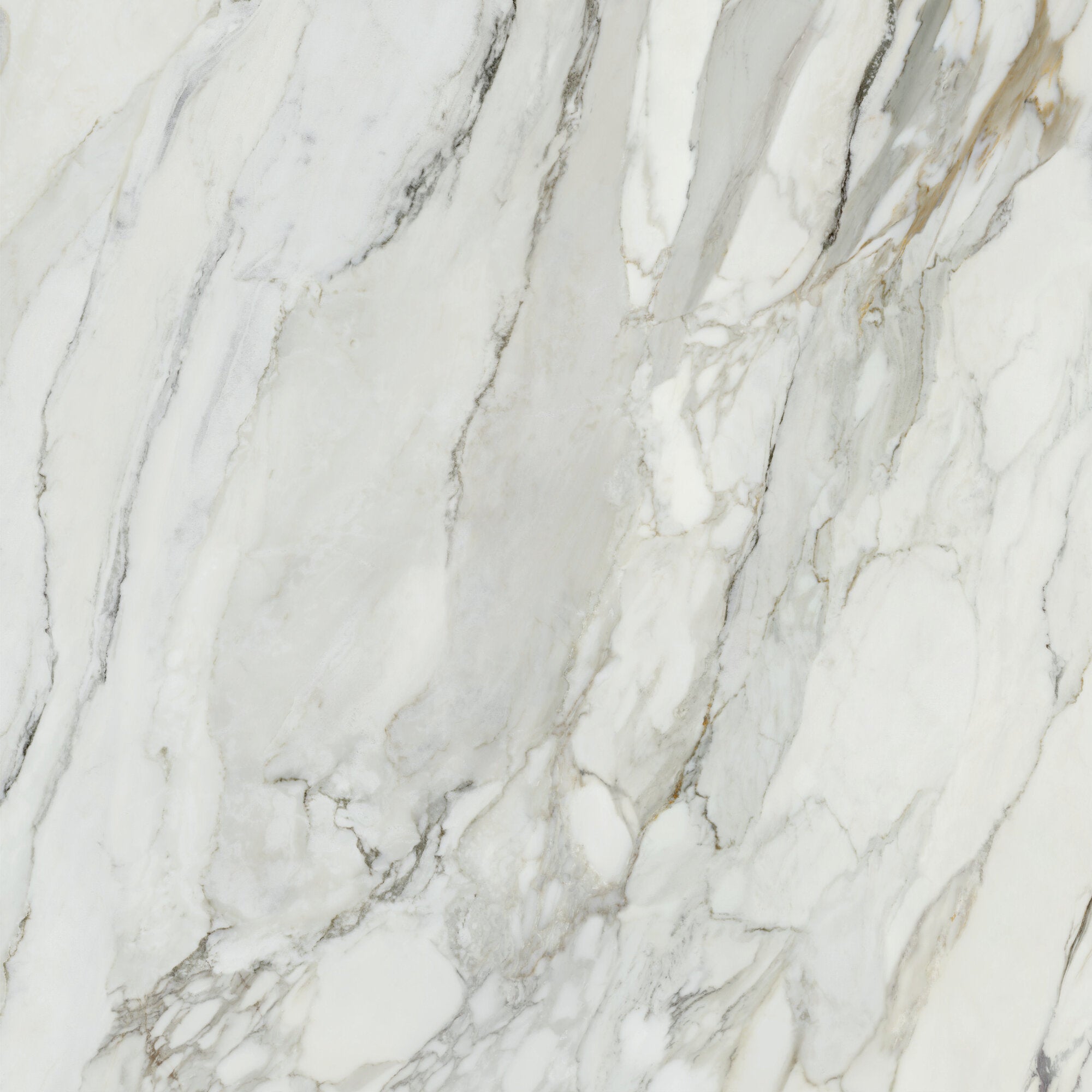 Arabescato Corchia – 120 × 120 cm