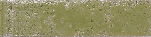 Carmen Pukka Moss Green 6.4x26