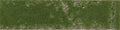 Carmen Pukka Crocodile Green 6.4x26