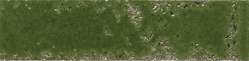 Carmen Pukka Crocodile Green 6.4x26