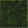 Genuine Emerald – 10×10 cm