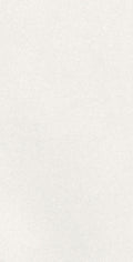 Caprice White – 60 × 120 cm