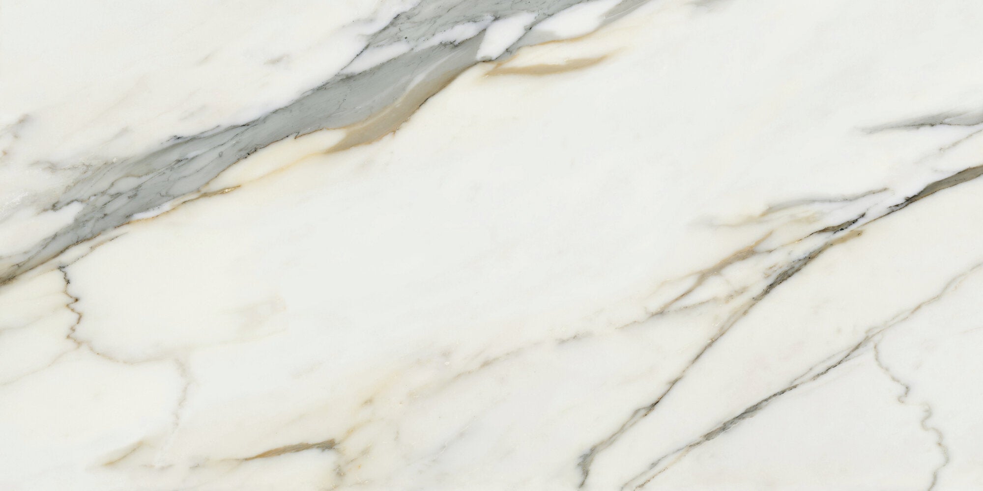 Calacatta Borghini – 60 × 120 cm