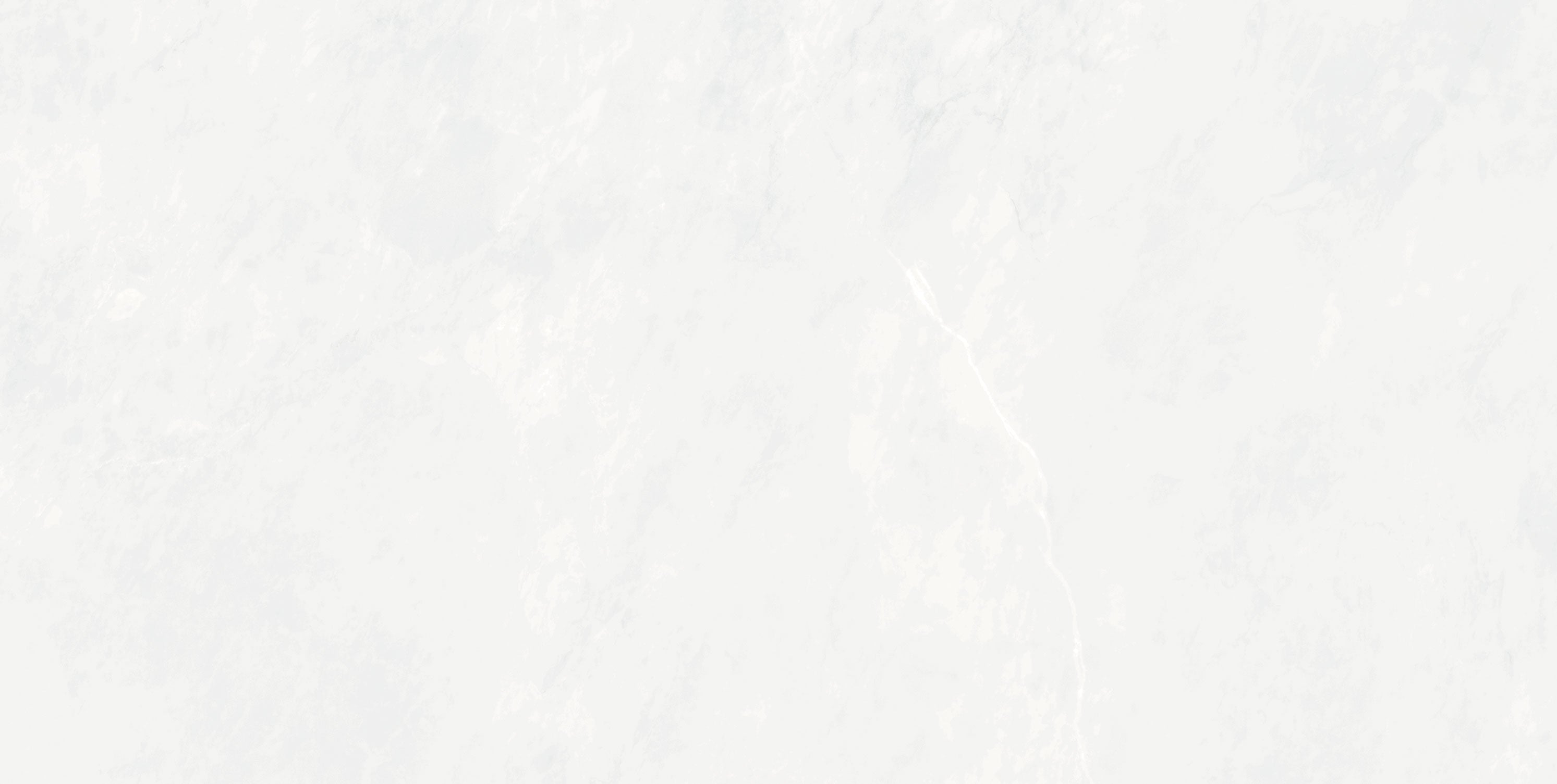 Prestige White – 60 × 120 cm – Fliese