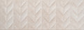 Cloe Rlv. Marfil – 25 × 70 cm – Fliese