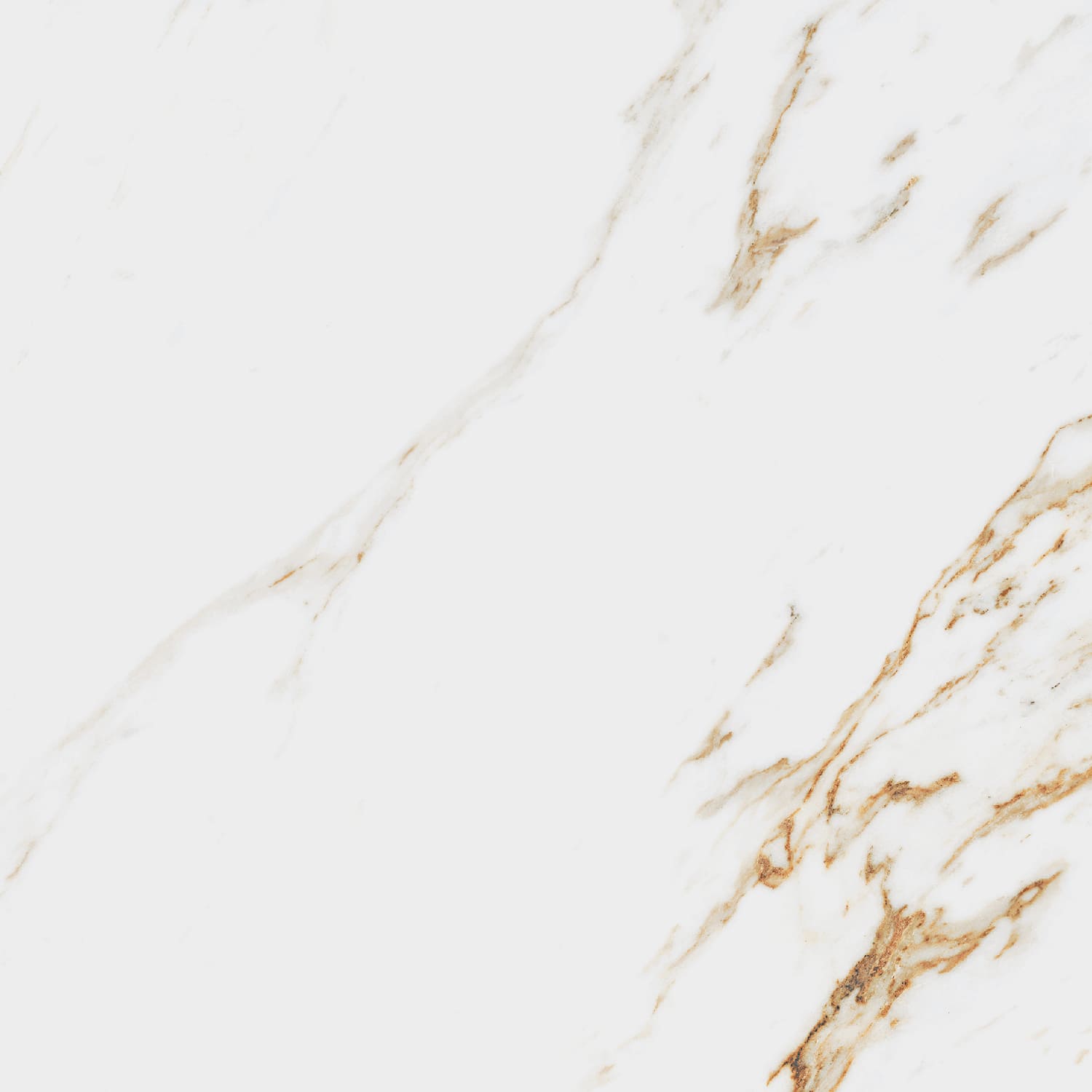 Royal Gold – 60 × 60 cm – Fliese