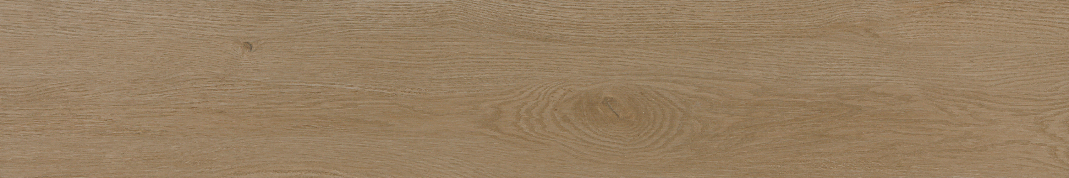 Tree Haya – 20 × 120 cm – Fliese