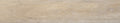 Trunk Dec Natural – 23 × 120 cm – Fliese