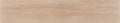 Trunk Natural – 23 × 120 cm – Fliese