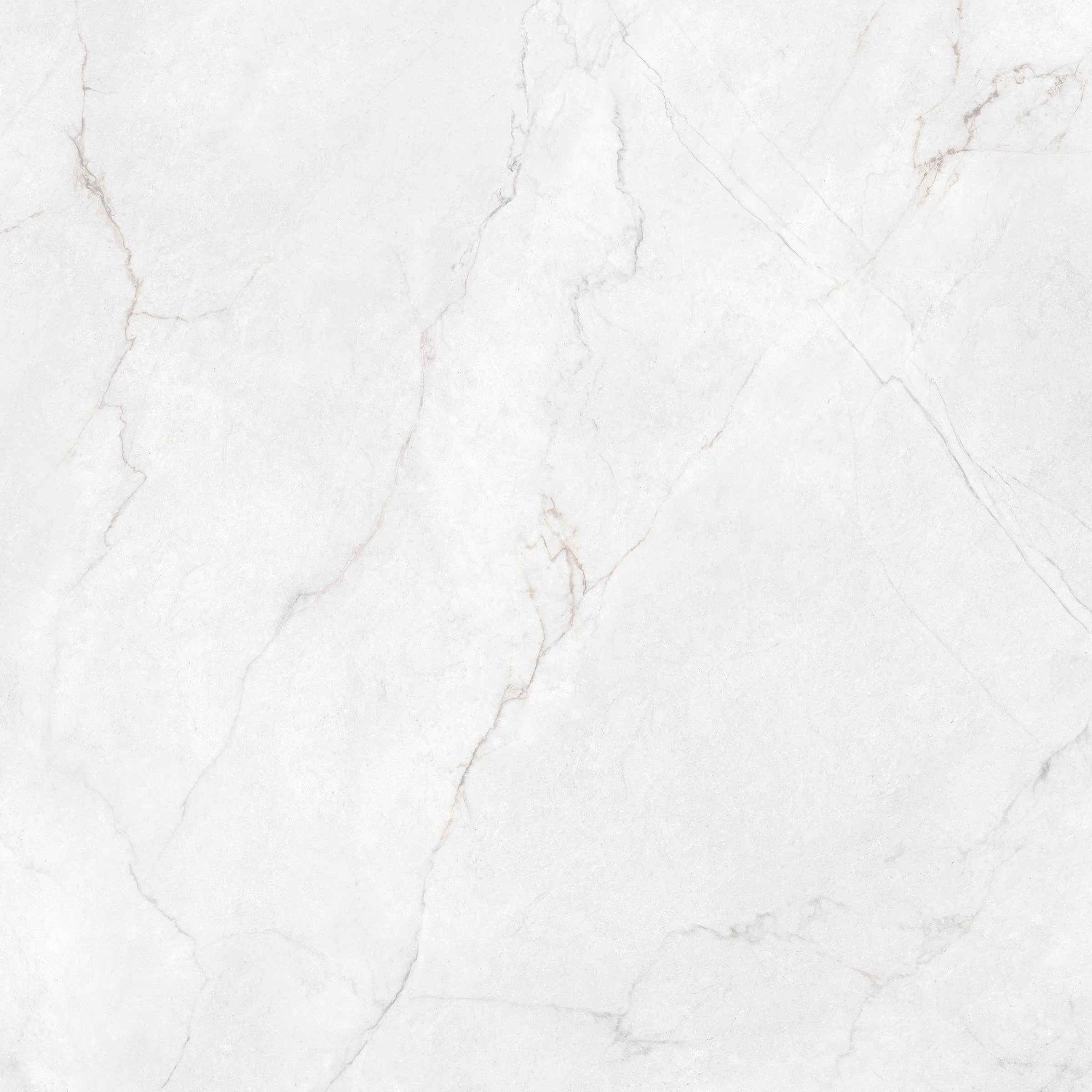 Discover Blanco poliert – 60 × 120 cm