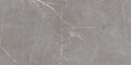 Status Gris – 60 × 60 cm