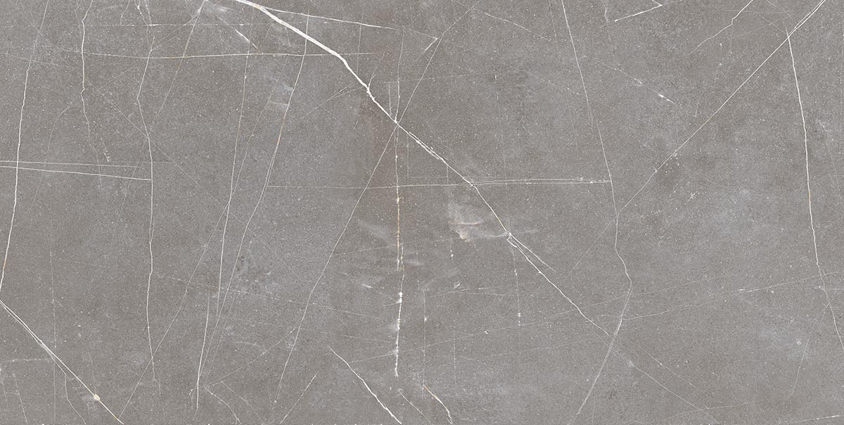 Status Gris – 60 × 60 cm
